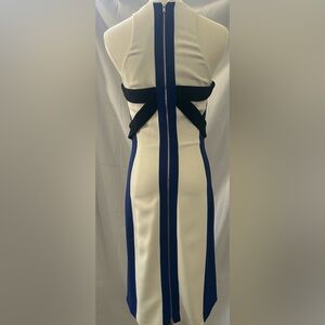 Antonio Berardi Dress